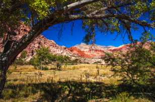 Red Rock Canyon, Nevada-3778